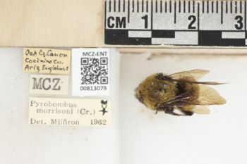 Media type: image;   Entomology 813079 Aspect: labels